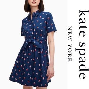 Kate Spade NWT Strawberry dress 🍓